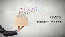  Presentation with box carton - Cool new presentation with hand holding carton box backdrop and a light gray colored foreground