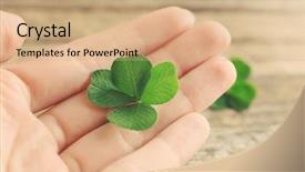  Presentation with four leaf clover - Theme consisting of hand holding clover leaf closeup background and a coral colored foreground