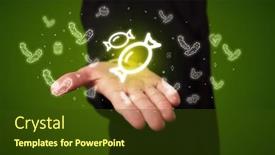  Presentation with related - 