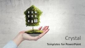  Presentation with green house - Amazing slide deck having hand-holding-green-house-mixed backdrop and a light gray colored foreground