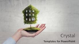  Presentation with green house - Cool new PPT layouts with hand-holding-green-house-mixed backdrop and a light gray colored foreground