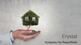  Presentation with green house - Amazing slides having hand-holding-green-house-mixed backdrop and a light gray colored foreground