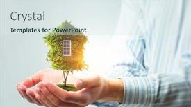  Presentation with green house - Audience pleasing PPT theme consisting of hand-holding-green-house-mixed backdrop and a sky blue colored foreground