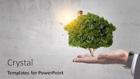  Presentation with green house - PPT layouts featuring hand-holding-green-house-mixed background and a light gray colored foreground