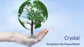  Presentation with green tree - Colorful presentation design enhanced with hand holding green tree backdrop and a sky blue colored foreground
