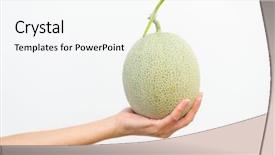  Presentation with melon - Colorful PPT layouts enhanced with hand holding melon backdrop and a white colored foreground