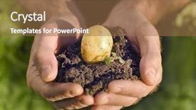  Presentation with hand holding plant - Colorful presentation design enhanced with hand holding plant potato seed backdrop and a coral colored foreground