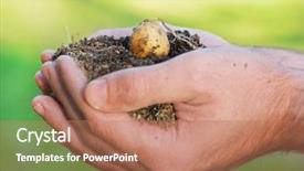  Presentation with hand holding plant - Theme featuring hand holding plant potato seed background and a coral colored foreground