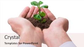  Presentation with hand holding plant - Colorful PPT layouts enhanced with hand holding seedling in new backdrop and a lemonade colored foreground