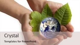  Presentation with hand holding earth - Beautiful slide set featuring rose pink close up with water droplets note shallow depth of field backdrop and a violet colored foreground