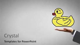  Presentation with rubber duck - PPT theme enhanced with hand-holding-yellow-toy-rubber background and a light gray colored foreground
