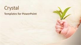  Presentation with hand holding plant - Audience pleasing PPT layouts consisting of yellow bells or trumpet vine backdrop and a gold colored foreground