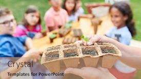  Presentation with biology - Amazing theme having hand-holds-growing-pot backdrop and a coral colored foreground