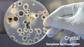  Presentation with petri dish - Colorful theme enhanced with hand holds petri dish backdrop and a gray colored foreground
