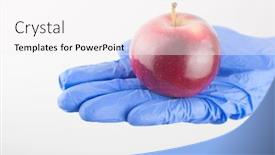  Presentation with red white blue - Audience pleasing PPT theme consisting of hand-in-blue-nitrile-gloves backdrop and a white colored foreground