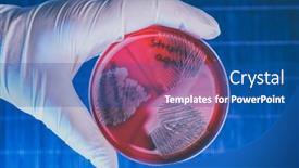  Presentation with bacteria - PPT layouts having hand-in-glove-holding-petri background and a ocean colored foreground