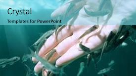  Presentation with skin care - Amazing theme having hand in water with fishes fish spa for skin care backdrop and a arctic colored foreground