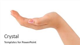  Presentation with waiter hand in white glove - Theme enhanced with hand isolated on white background background and a white colored foreground