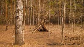  Presentation with hut - Audience pleasing theme consisting of hand-made-hut-made backdrop and a coral colored foreground