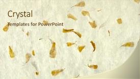  Presentation with paper hand drawn politics - Audience pleasing presentation consisting of hand made paper with embedded backdrop and a cream colored foreground