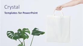  Presentation with hand holding plant - Slide set having hand-of-caucasian-woman-holding background and a sky blue colored foreground