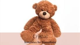  Presentation with brown bear - Colorful presentation design enhanced with hand-of-caucasian-young-man backdrop and a coral colored foreground