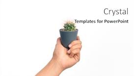  Presentation with cactus - PPT layouts having hand-of-caucasian-young-man background and a white colored foreground