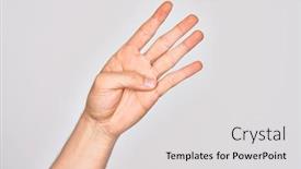  Presentation with fingers - Colorful PPT theme enhanced with hand-of-caucasian-young-man backdrop and a light gray colored foreground