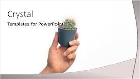  Presentation with cactus - Slide deck featuring hand-of-caucasian-young-man background and a white colored foreground