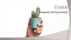  Presentation with cactus - Slide set featuring hand-of-caucasian-young-man background and a white colored foreground