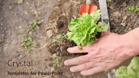  Presentation with soil - Slides featuring hand-of-farmer-planting-sapling background and a coral colored foreground