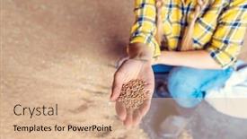  Presentation with wheat - Presentation featuring hand of farmer showing the quality of the wheat grains close up background and a coral colored foreground