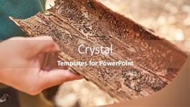  Presentation with pest - Amazing slide set having hand-of-forester-or-forester backdrop and a coral colored foreground