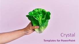  Presentation with lettuce - Presentation enhanced with hand-of-hispanic-man-holding background and a lemonade colored foreground