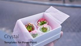  Presentation with chocolate dessert - Slide deck enhanced with hand-of-man-holding-box background and a light blue colored foreground