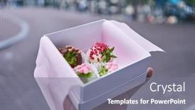  Presentation with chocolate dessert - 