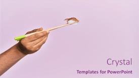  Presentation with chopsticks - 