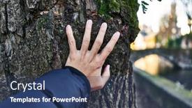  Presentation with tree - Slides consisting of hand-of-man-touching-tree background and a ocean colored foreground