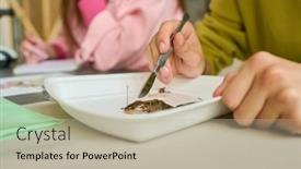  Presentation with hand holding puzzle piece - Slide deck having hand-of-student-holding-sharp background and a mint green colored foreground