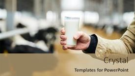  Presentation with milk dairy - Slide set consisting of hand-of-young-male-farmer background and a coral colored foreground