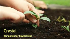  Presentation with soil - Colorful presentation enhanced with hand plant - kids planting seedlings in soil backdrop and a  colored foreground