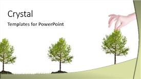  Presentation with tree sky trees green - Colorful PPT theme enhanced with hand plant small green trees backdrop and a white colored foreground