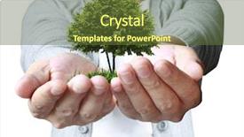  Presentation with plant growth - Beautiful theme featuring hand plant tree backdrop and a tawny brown colored foreground