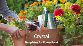  Presentation with flowers - Slide deck featuring hand planting flowers in pot background and a tawny brown colored foreground