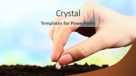  Presentation with seed - Beautiful slide set featuring hand planting white bean seed backdrop and a cool aqua colored foreground