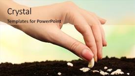  Presentation with soil - Presentation design consisting of hand planting white bean seed background and a coral colored foreground