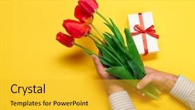  Presentation with man heart attact hand hold - Audience pleasing PPT theme consisting of hand red flowers bunch yellow backdrop and a yellow colored foreground