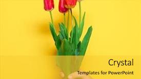  Presentation with flowers - Cool new slides with hand red flowers bunch yellow backdrop and a yellow colored foreground