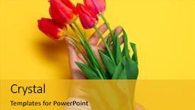  Presentation with red floral - Beautiful PPT layouts featuring hand red flowers bunch yellow backdrop and a gold colored foreground