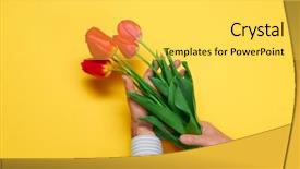  Presentation with flowers - Audience pleasing slide deck consisting of hand red flowers bunch yellow backdrop and a light gray colored foreground